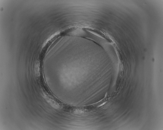 X0000080760684200701021057