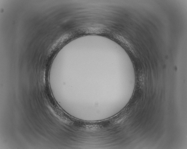 X0000080760686200701021057