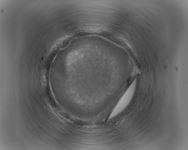 X0000080760688200701021056