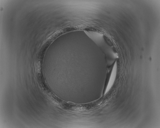 X0000080760689200701021056