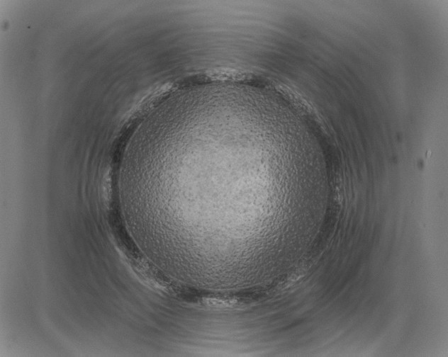 X0000080760690200701021056
