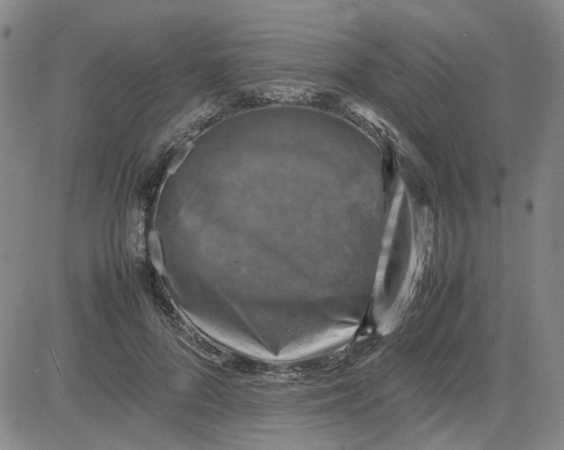 X0000080760696200701021056