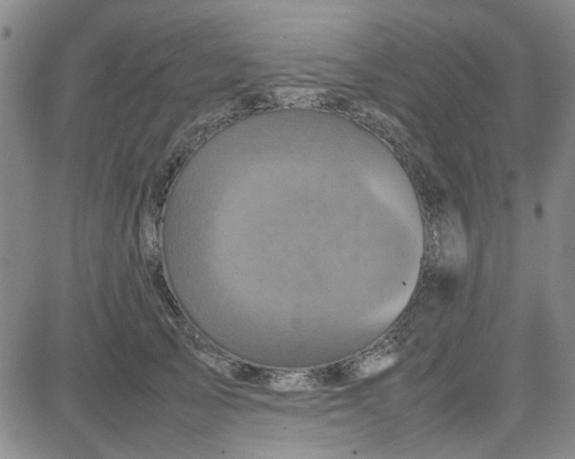 X0000080760705200701021056