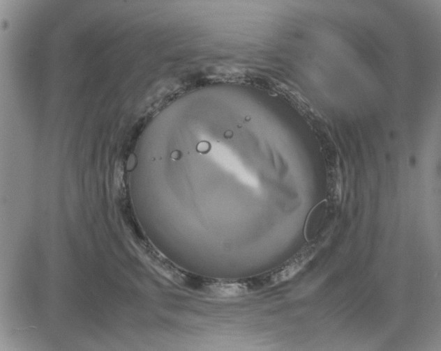 X0000080760711200701021056