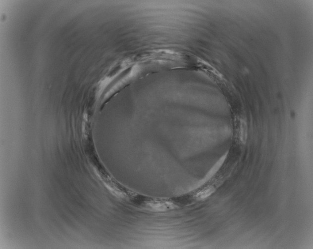 X0000080760712200701021056