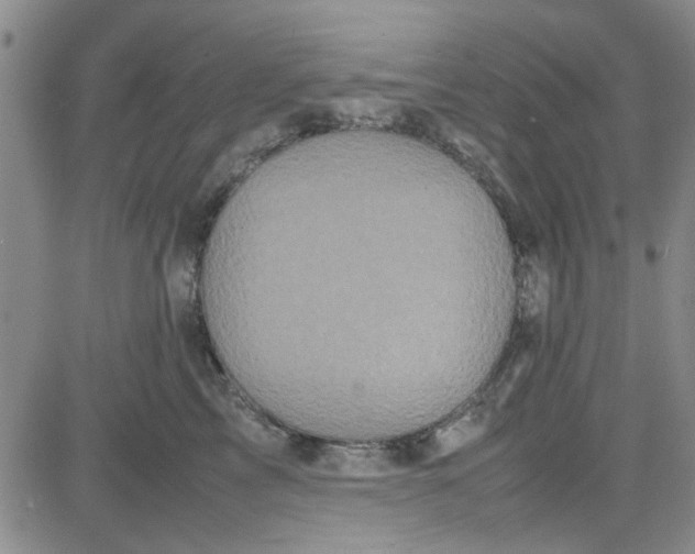X0000080760713200701021056