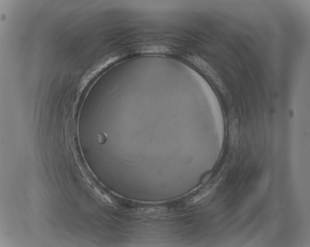 X0000080760721200701021055
