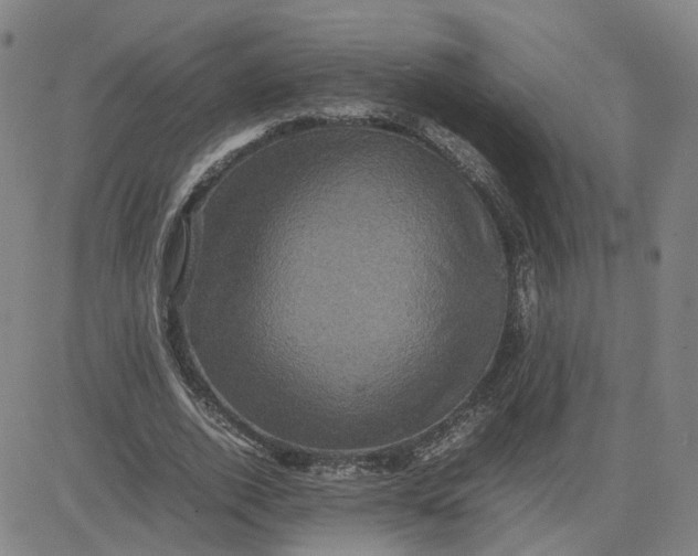 X0000080760728200701021055