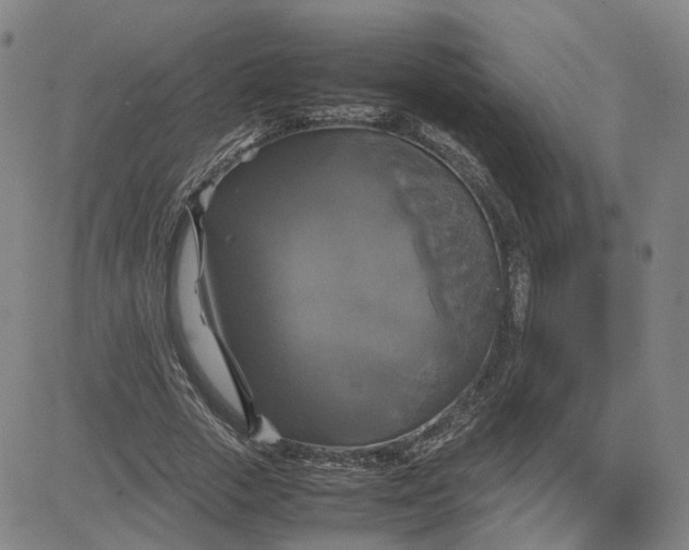 X0000080760729200701021055