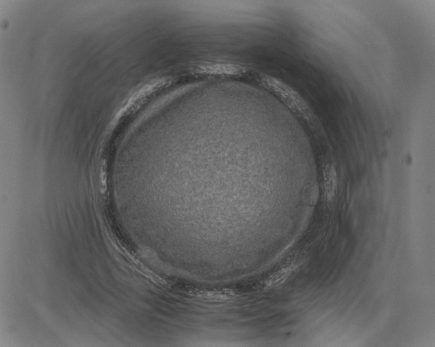 X0000080760731200701021055