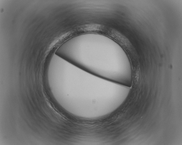 X0000080760732200701021055