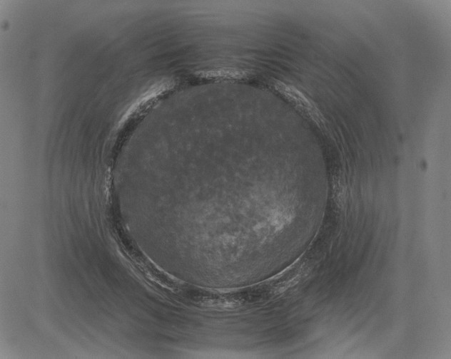 X0000080760735200701021055