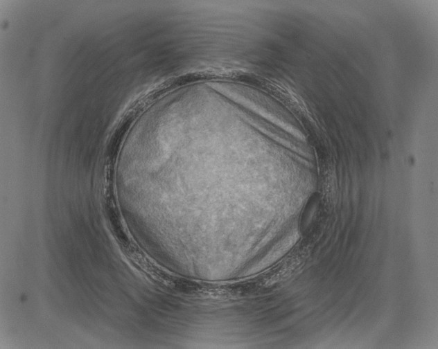 X0000080760736200701021055
