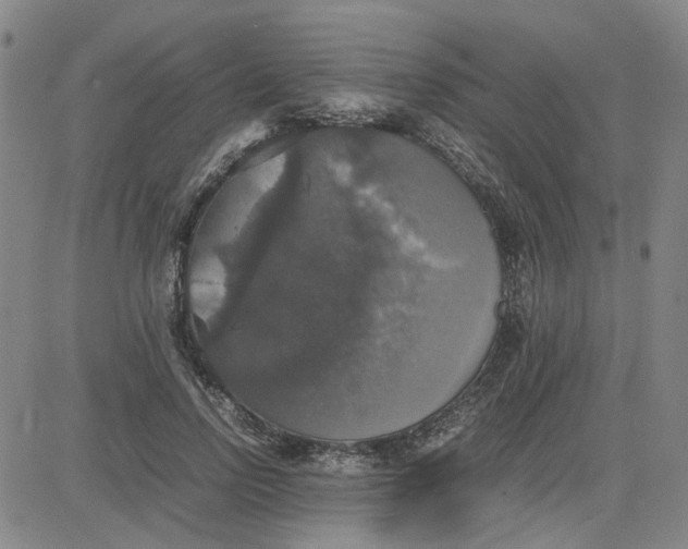 X0000080760742200701021056