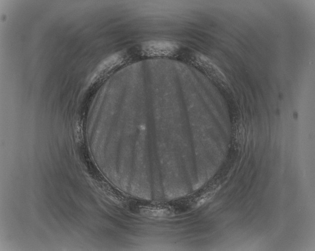 X0000080760743200701021056
