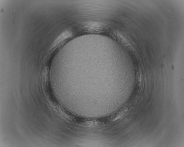 X0000080760744200701021056
