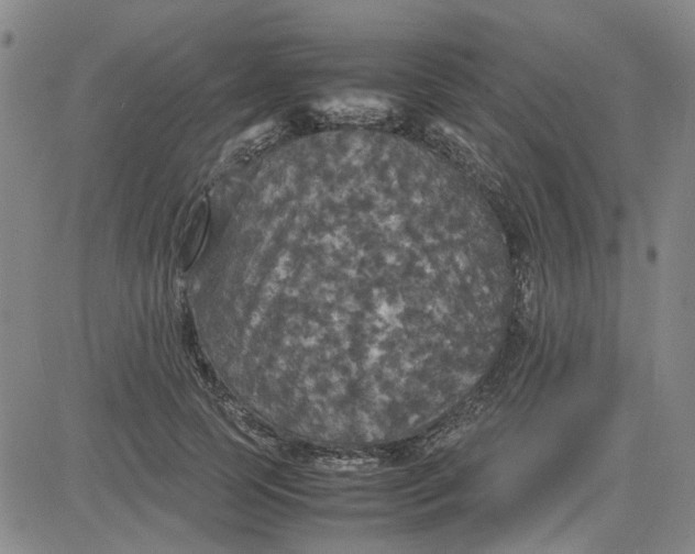 X0000080760745200701021056