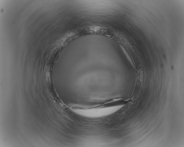 X0000080760754200701021056