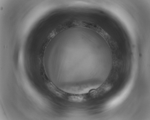 X0000080760765200701021056