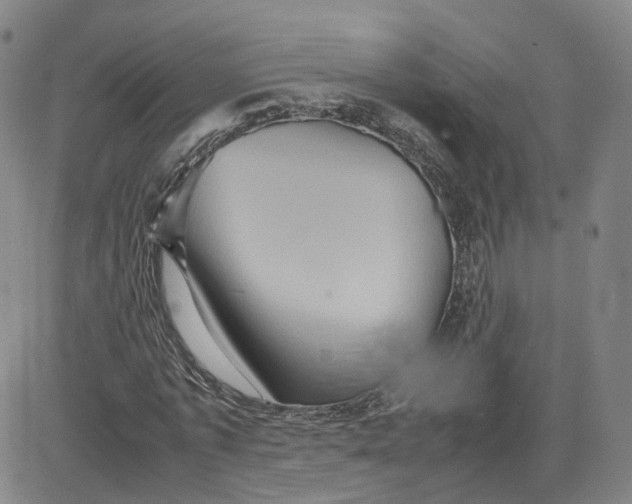 X0000080760773200701021055