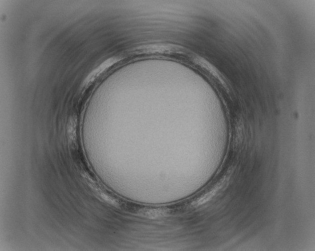 X0000080760778200701021055