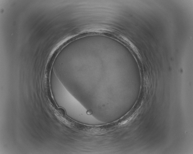 X0000080760779200701021055