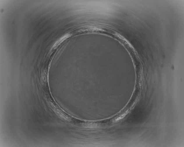 X0000080760785200701021055