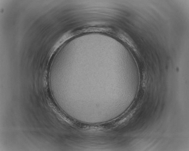 X0000080760786200701021055