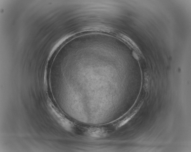 X0000080760788200701021055
