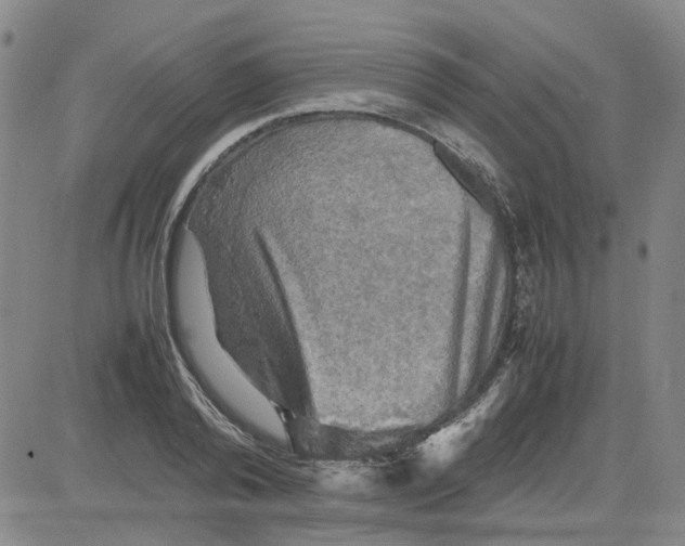 X0000080760792200701021055