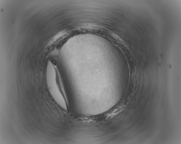 X0000080760822200701021054