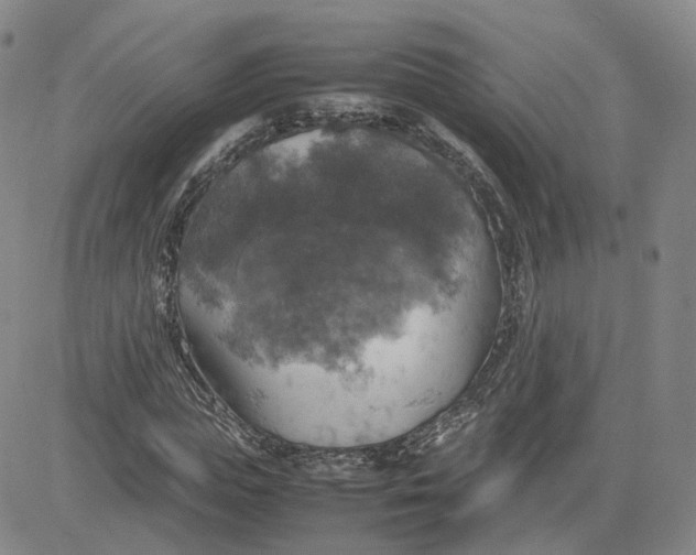 X0000080760823200701021054