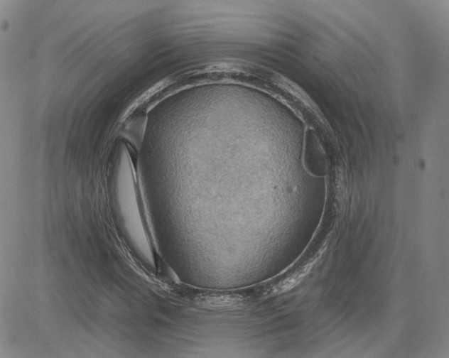 X0000080760826200701021054