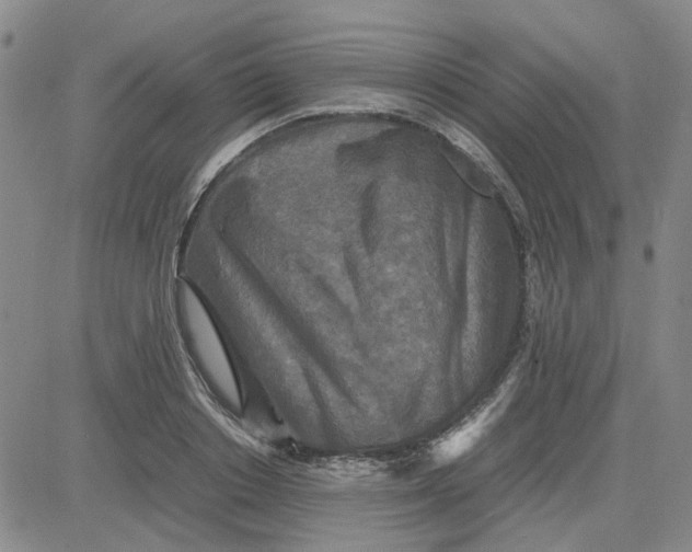 X0000080760842200701021054