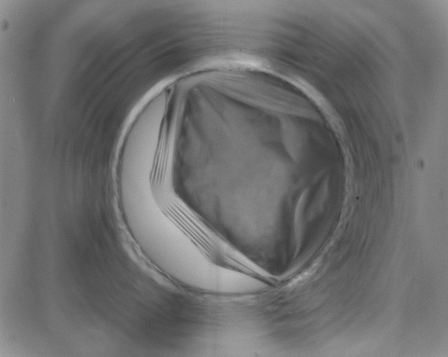 X0000080760864200701021054