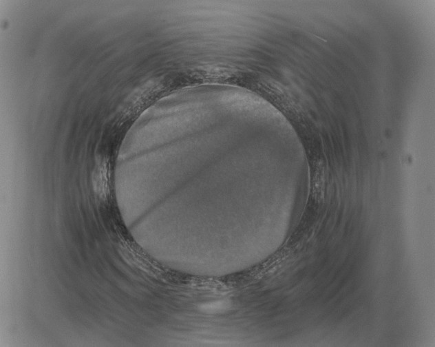 X0000080760866200701021054