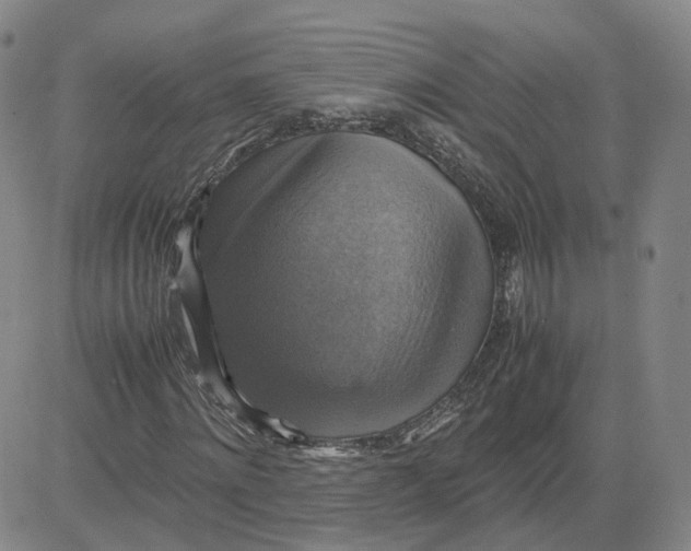 X0000080760868200701021054