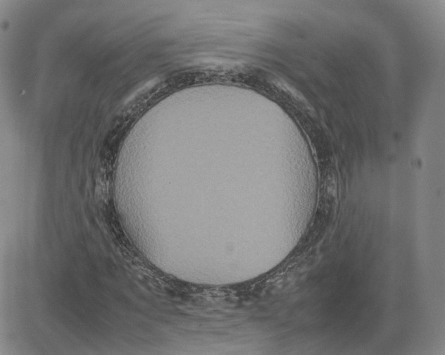 X0000080760869200701021054