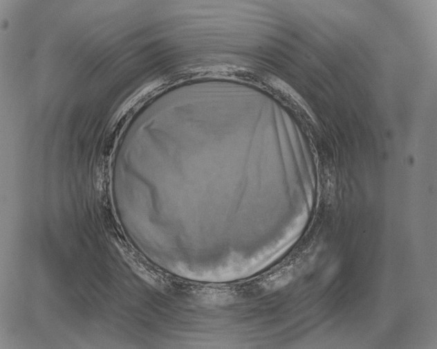 X0000080760874200701021053