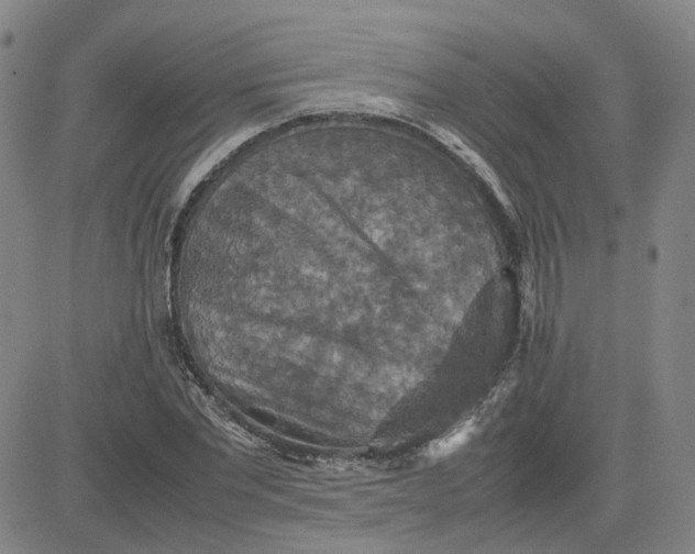 X0000080760877200701021053