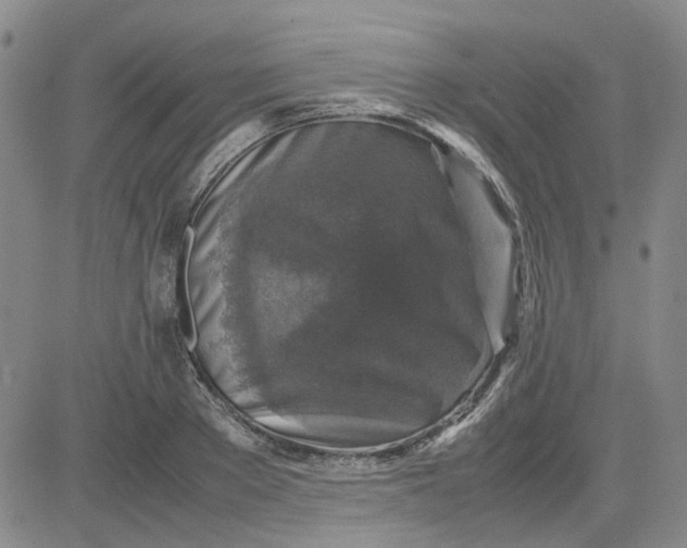 X0000080760889200701021053