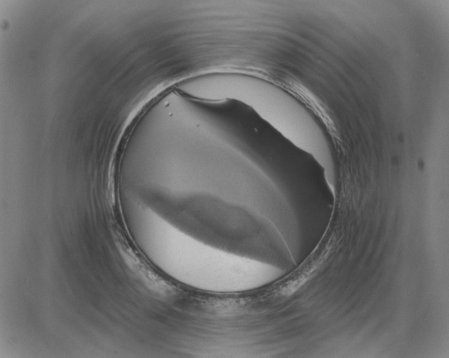 X0000080760892200701021053
