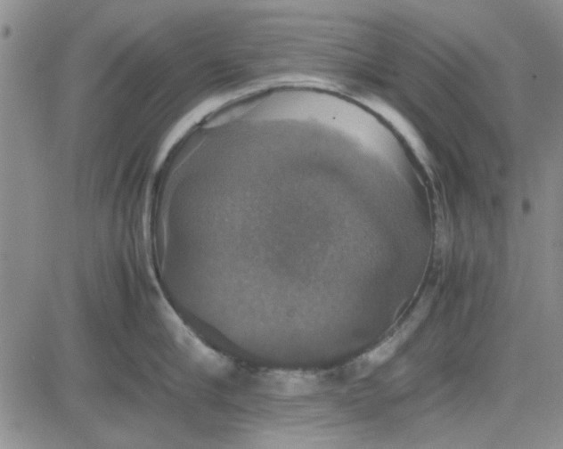 X0000080760910200701021053