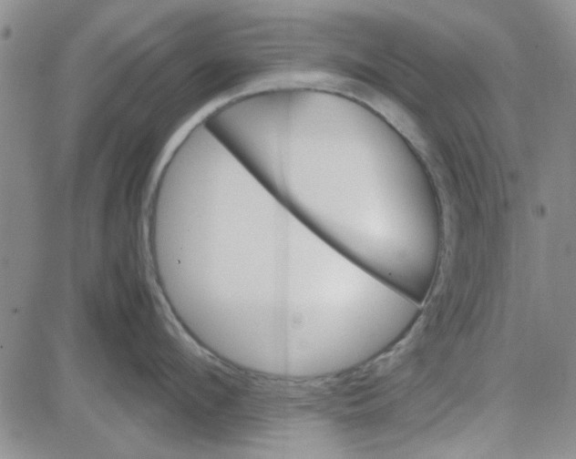 X0000080760912200701021053