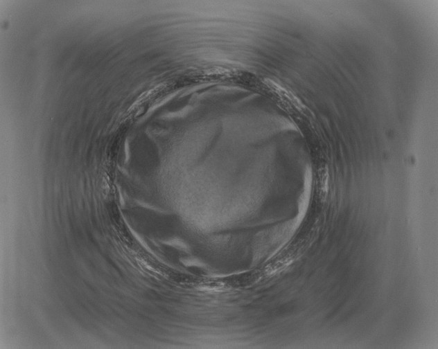 X0000080760916200701021052