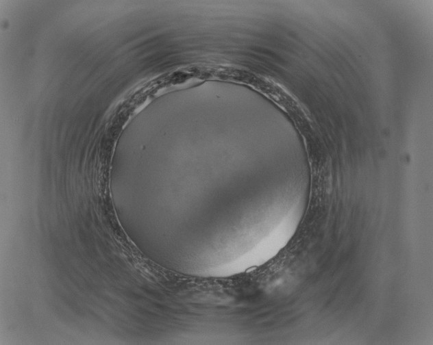X0000080760919200701021052