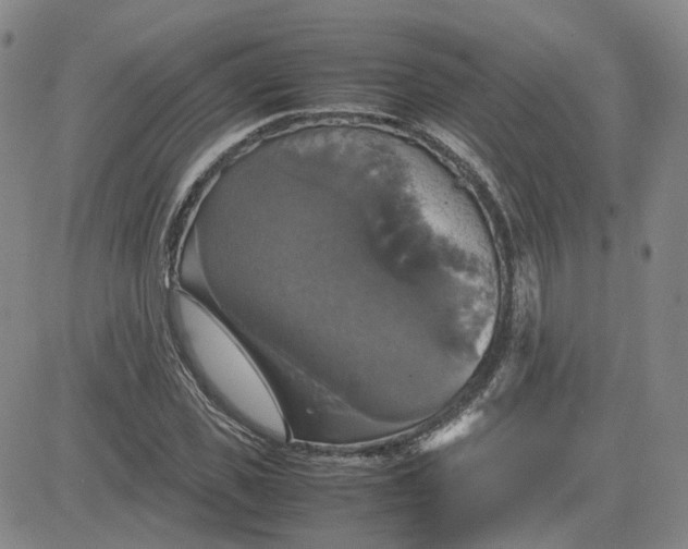 X0000080760925200701021052