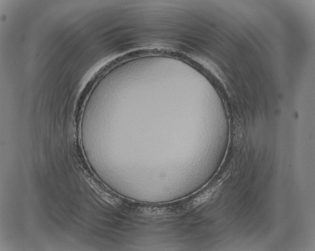 X0000080760927200701021052
