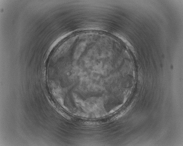 X0000080760933200701021052