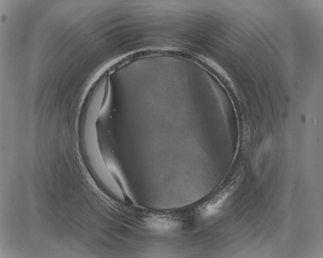 X0000080760935200701021052